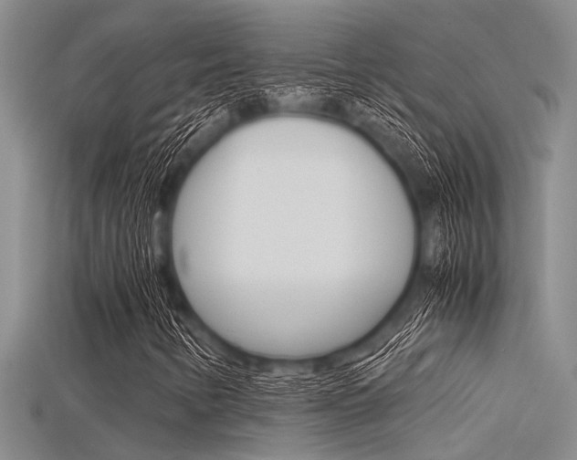X0000115741346200911121054