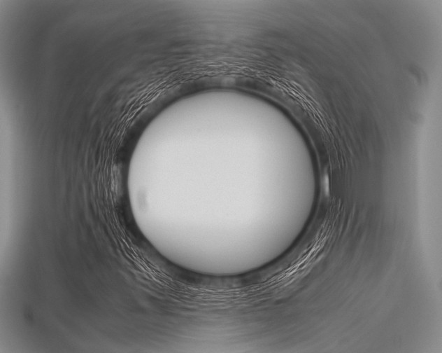 X0000115741347200911121054