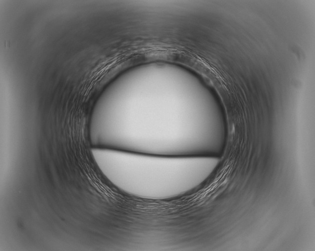 X0000115741348200911121054