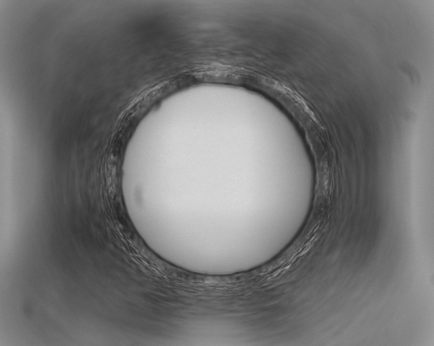 X0000115741350200911121054