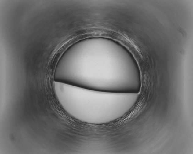 X0000115741352200911121054