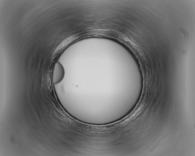 X0000115741354200911121054
