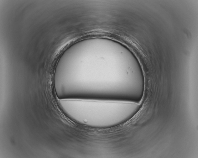 X0000115741355200911121054