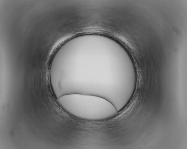 X0000115741358200911121054