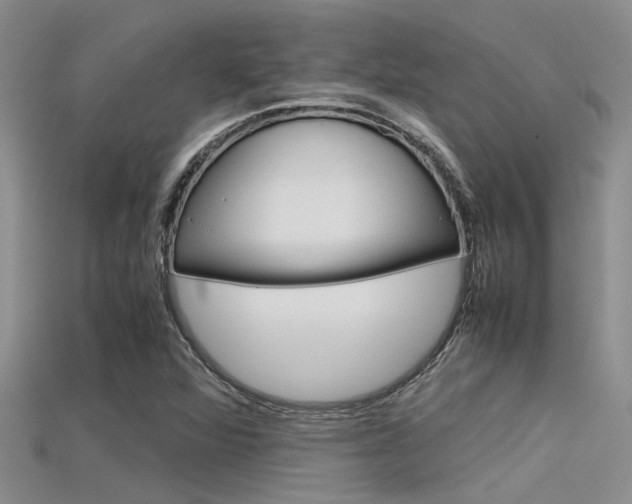 X0000115741360200911121054