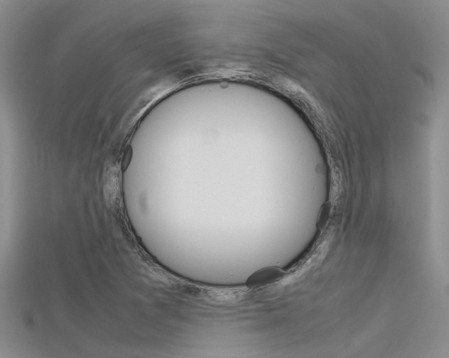 X0000115741361200911121054