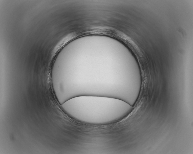 X0000115741362200911121054