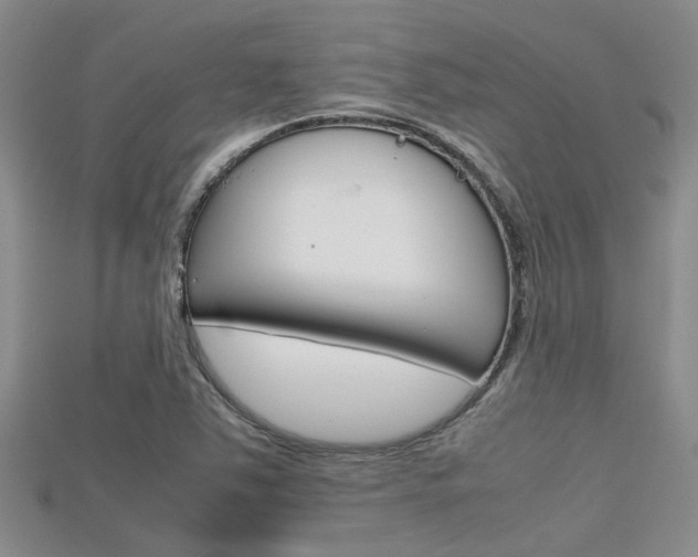 X0000115741363200911121054