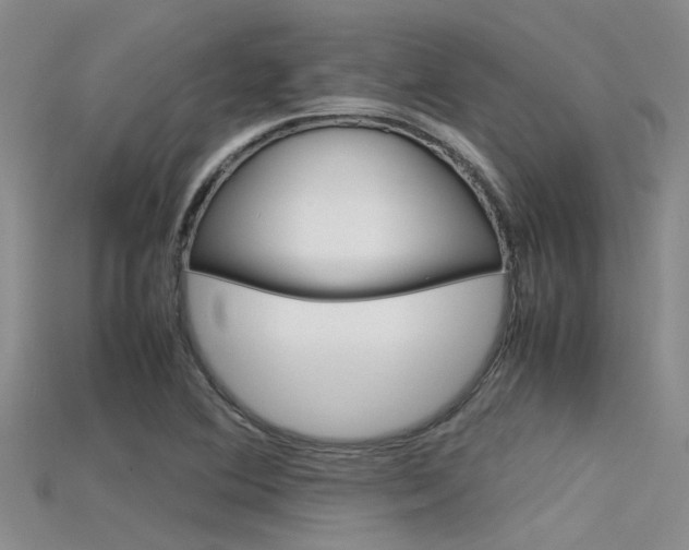 X0000115741364200911121053