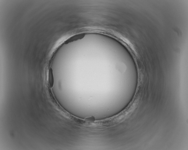 X0000115741365200911121053