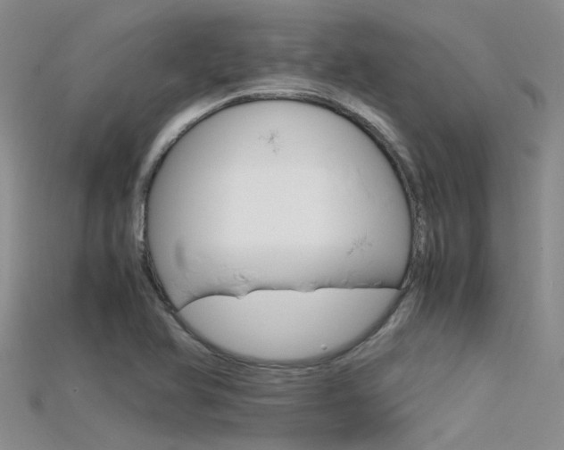 X0000115741366200911121053