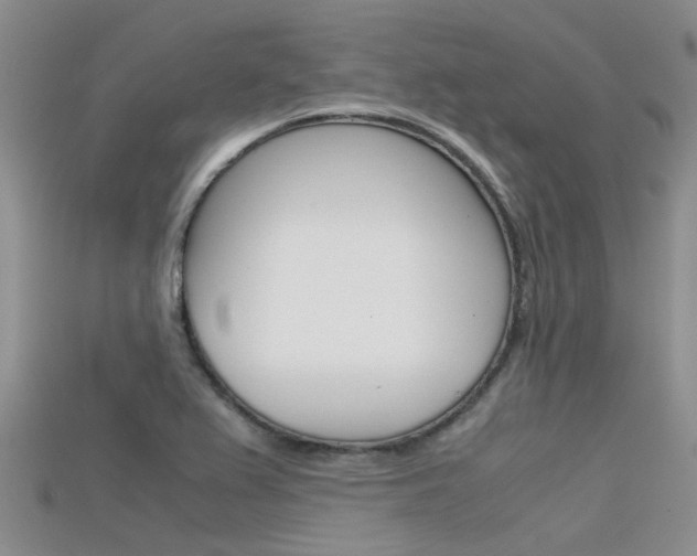 X0000115741367200911121053