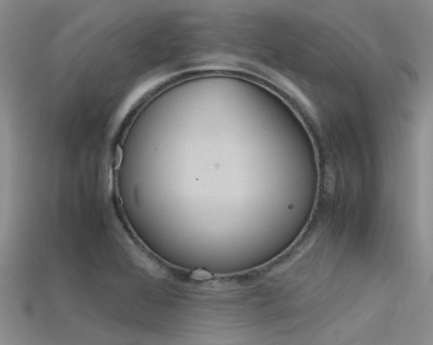 X0000115741368200911121053