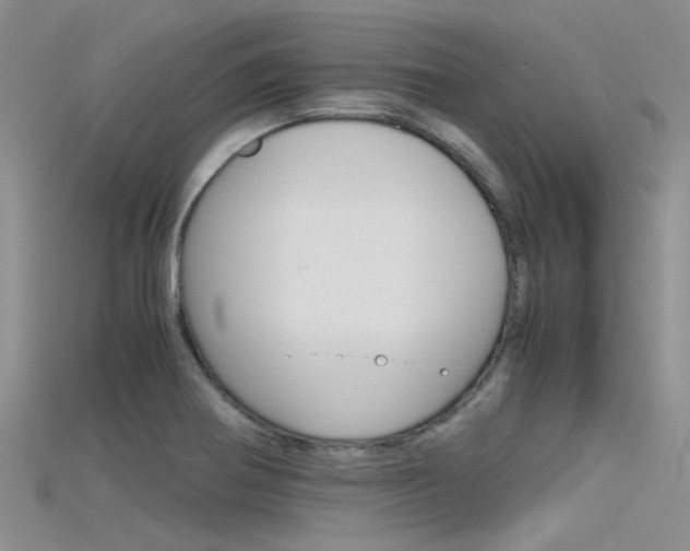 X0000115741370200911121053