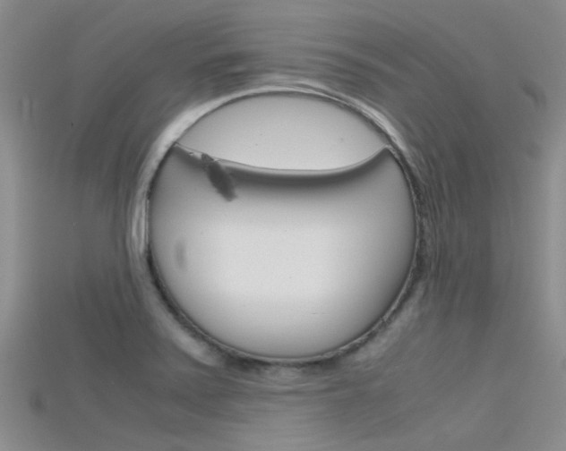 X0000115741371200911121053