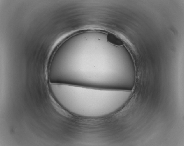 X0000115741372200911121053