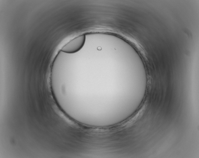 X0000115741374200911121053