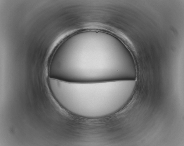 X0000115741376200911121053