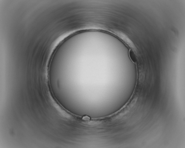 X0000115741380200911121053