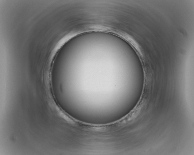 X0000115741381200911121053