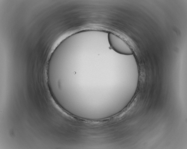 X0000115741382200911121053