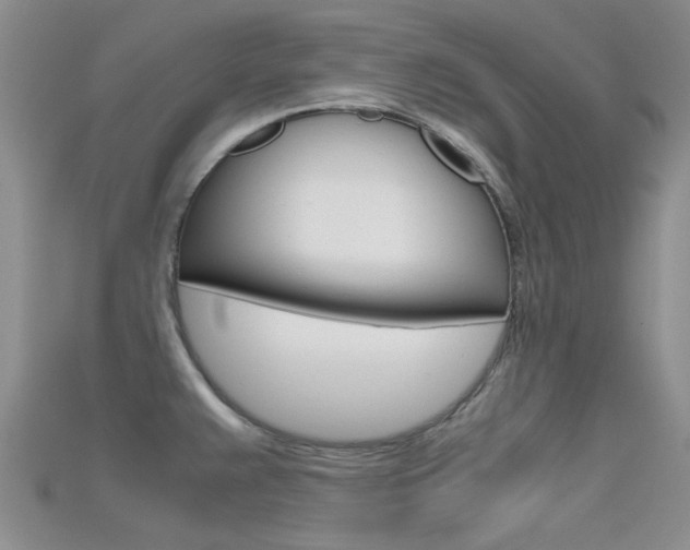 X0000115741383200911121053