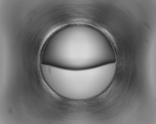 X0000115741384200911121053
