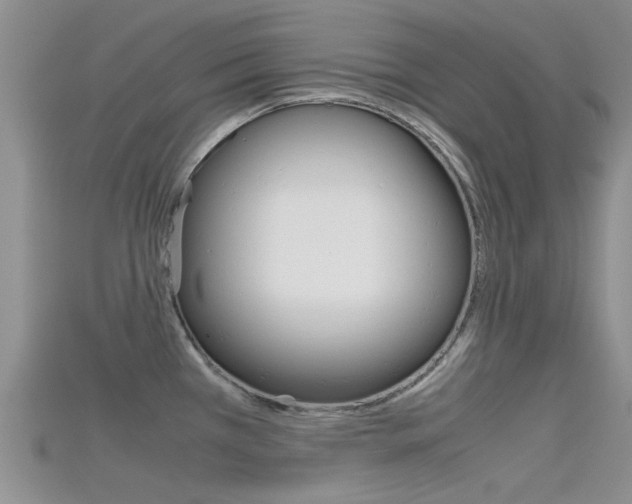X0000115741385200911121053
