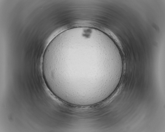 X0000115741386200911121053
