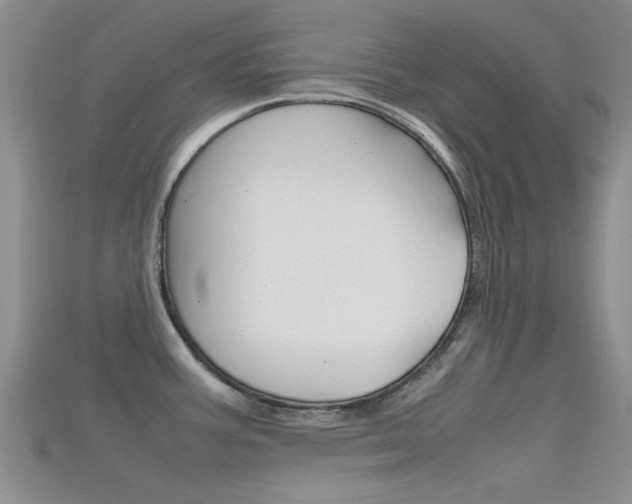 X0000115741387200911121053