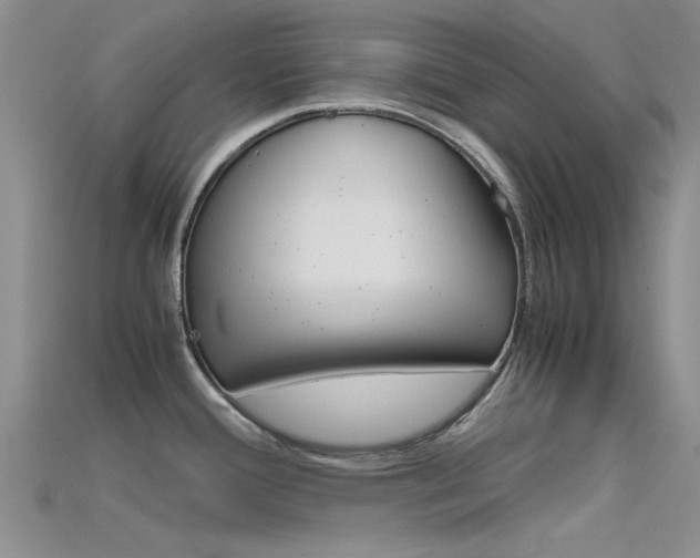 X0000115741388200911121053