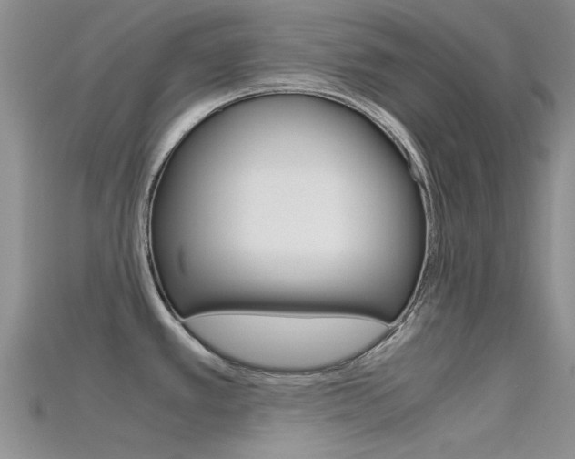 X0000115741389200911121053