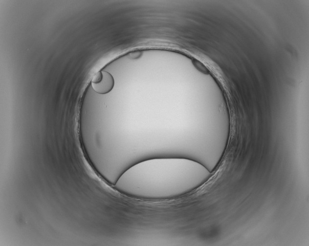 X0000115741390200911121053