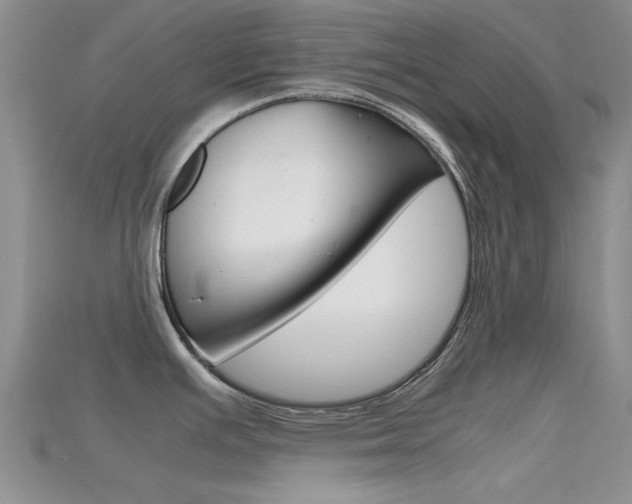 X0000115741391200911121053