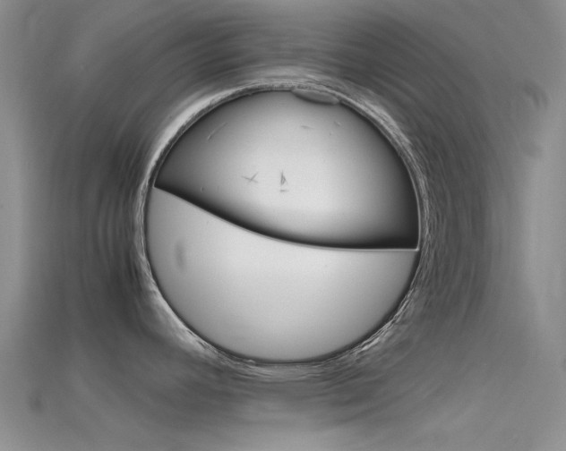 X0000115741392200911121053