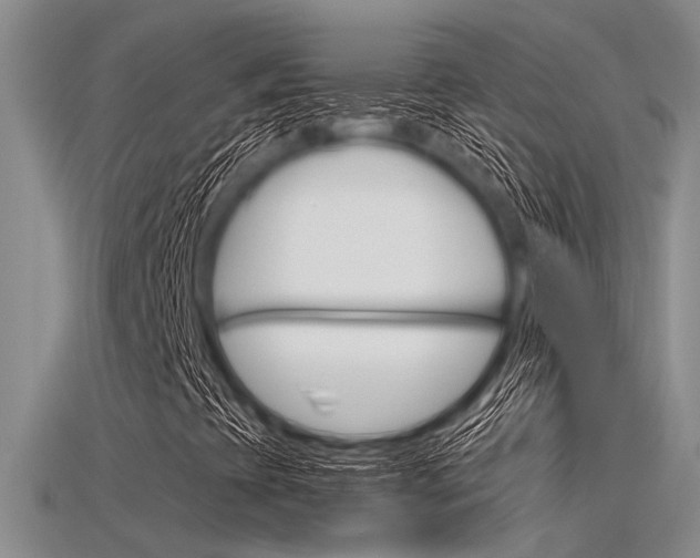 X0000115741393200911121052