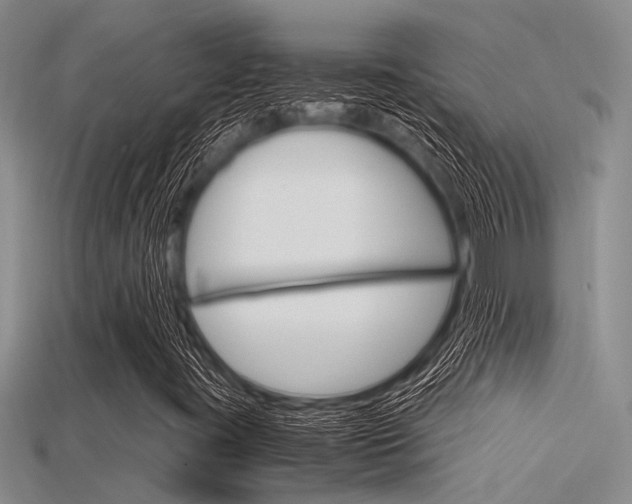 X0000115741395200911121052