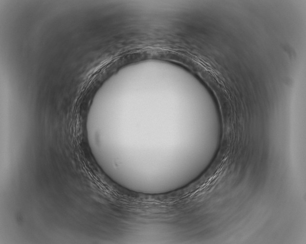 X0000115741398200911121052
