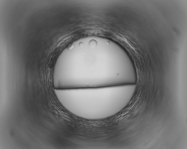 X0000115741399200911121052