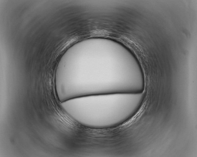X0000115741401200911121052