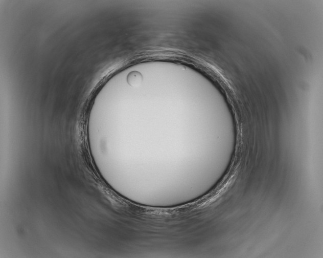 X0000115741405200911121052