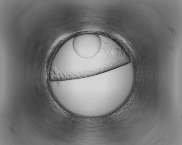 X0000115741408200911121053