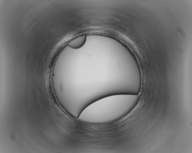 X0000115741411200911121053