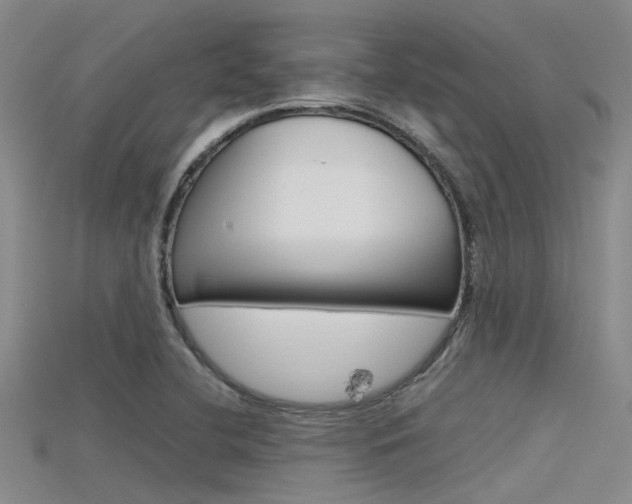X0000115741412200911121053