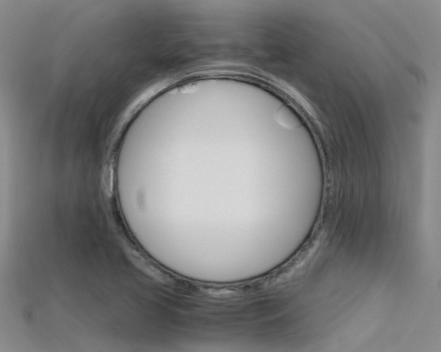 X0000115741413200911121053