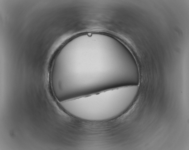 X0000115741414200911121053