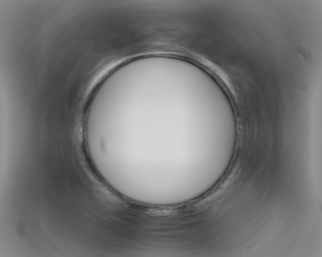X0000115741415200911121053