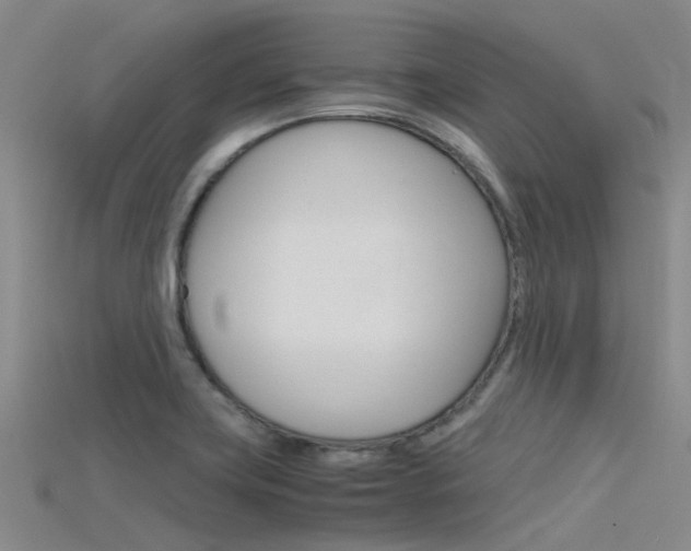 X0000115741419200911121053