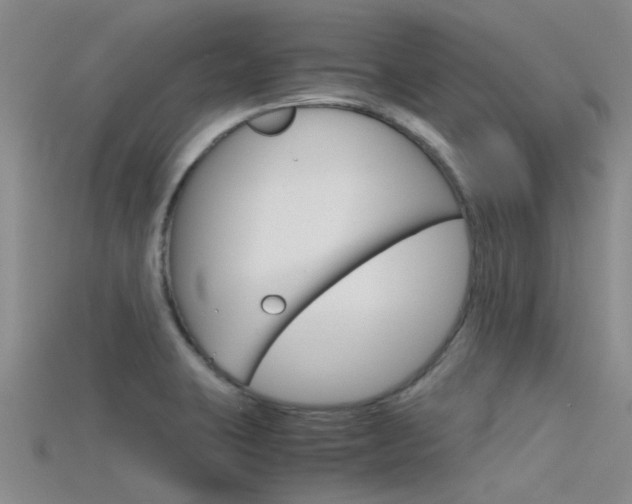 X0000115741423200911121053