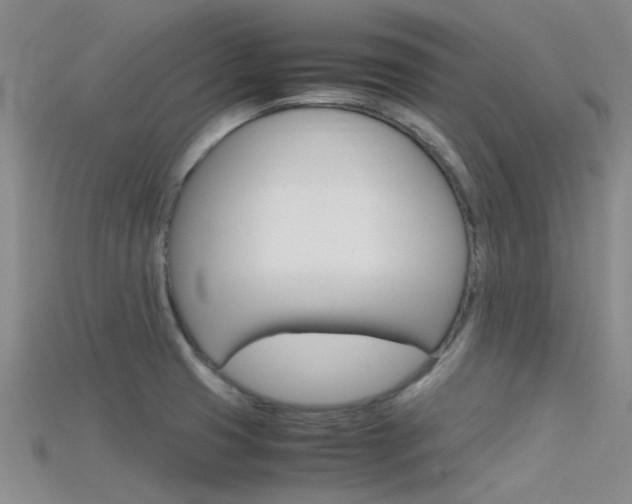 X0000115741425200911121053